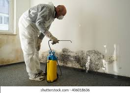 Best Emergency Mold Remediation in USA